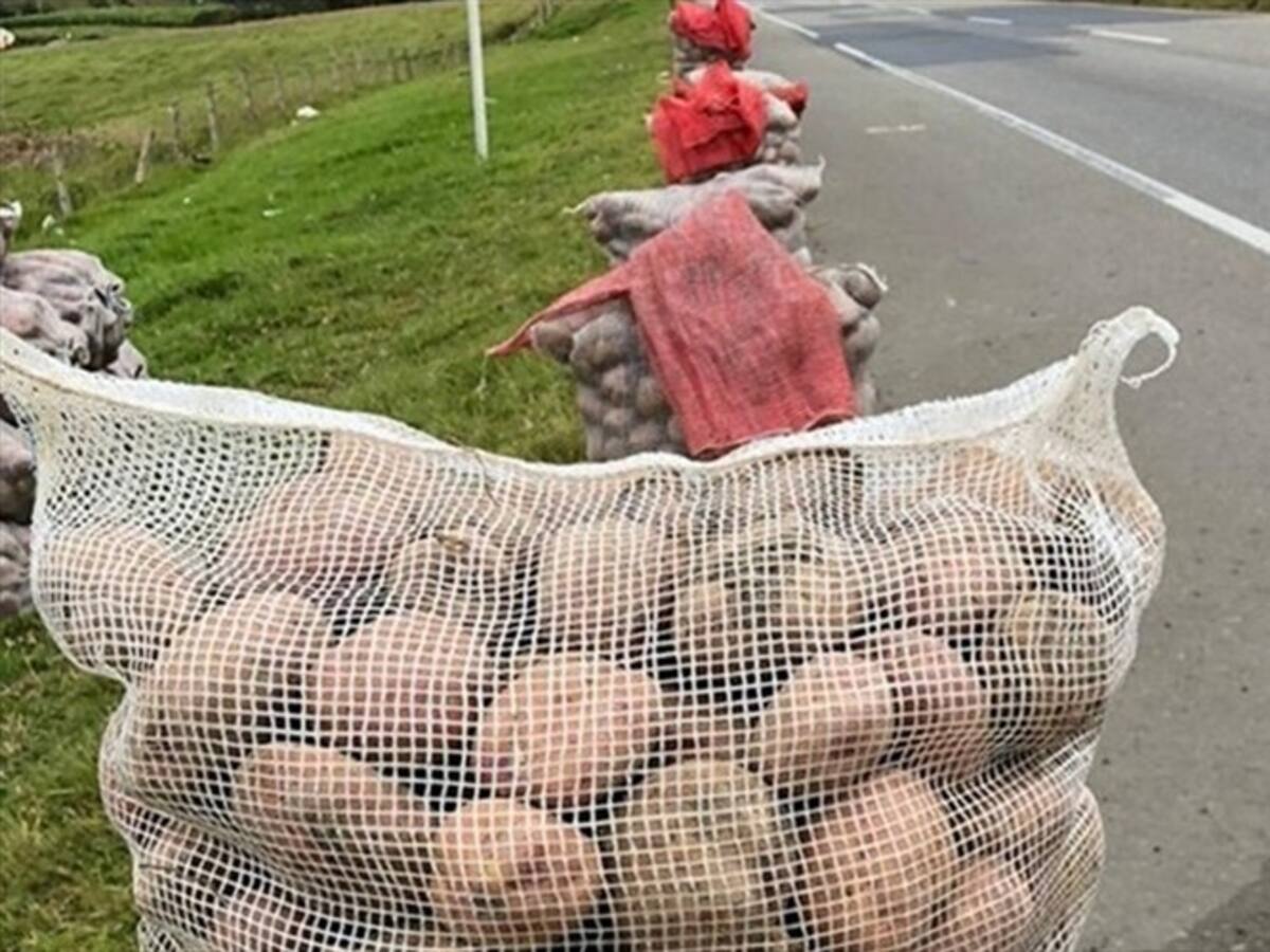 Avanza jornada de venta de papa en peajes de Boyacá