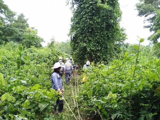 Fuertes lluvias afectaron la infraestructura eléctrica de 12 municipios de Córdoba. Foto: Afinia.
