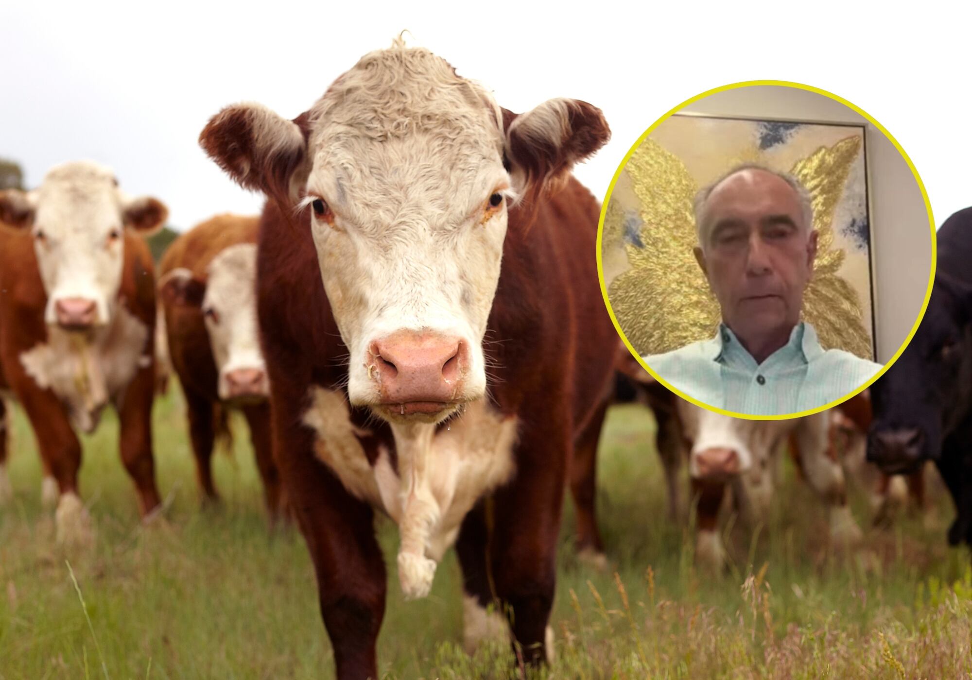 Se encontró que eran de seres humanos: JEP sobre restos encontrados en finca de empresario ganadero