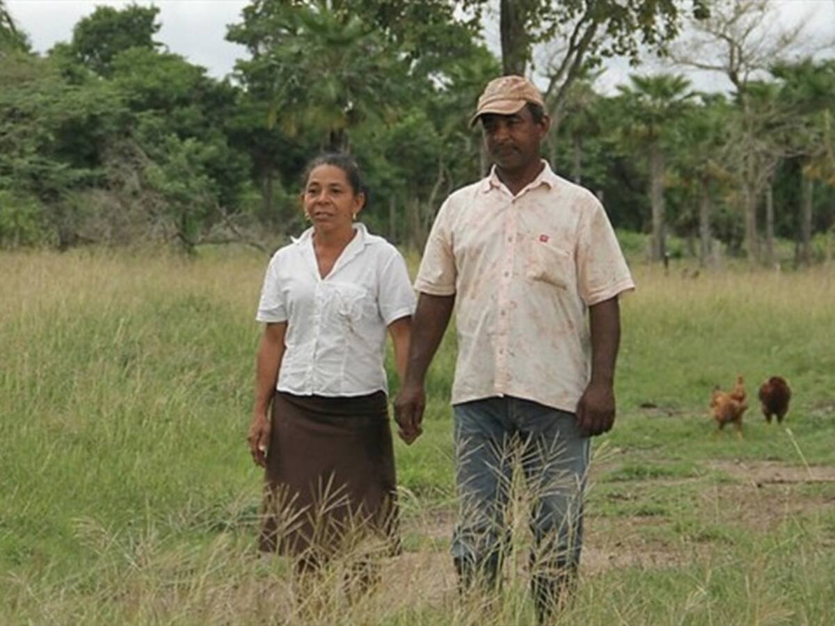 Por abandonar siembra de cultivos de coca, se entregarán títulos de propiedad en Antioquia