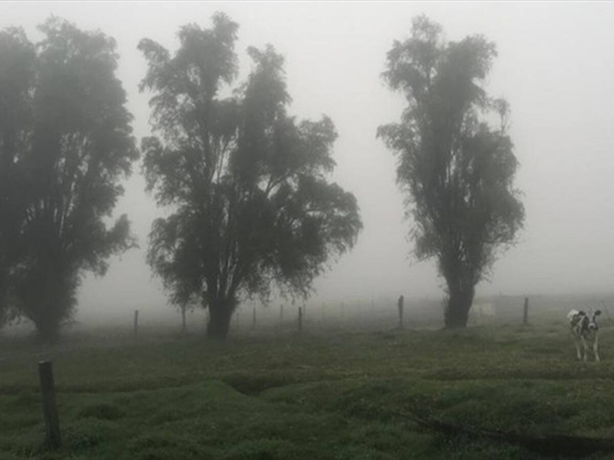 Calamidad Pública en Boyacá servirá para proyectos a 14.000 damnificados por heladas