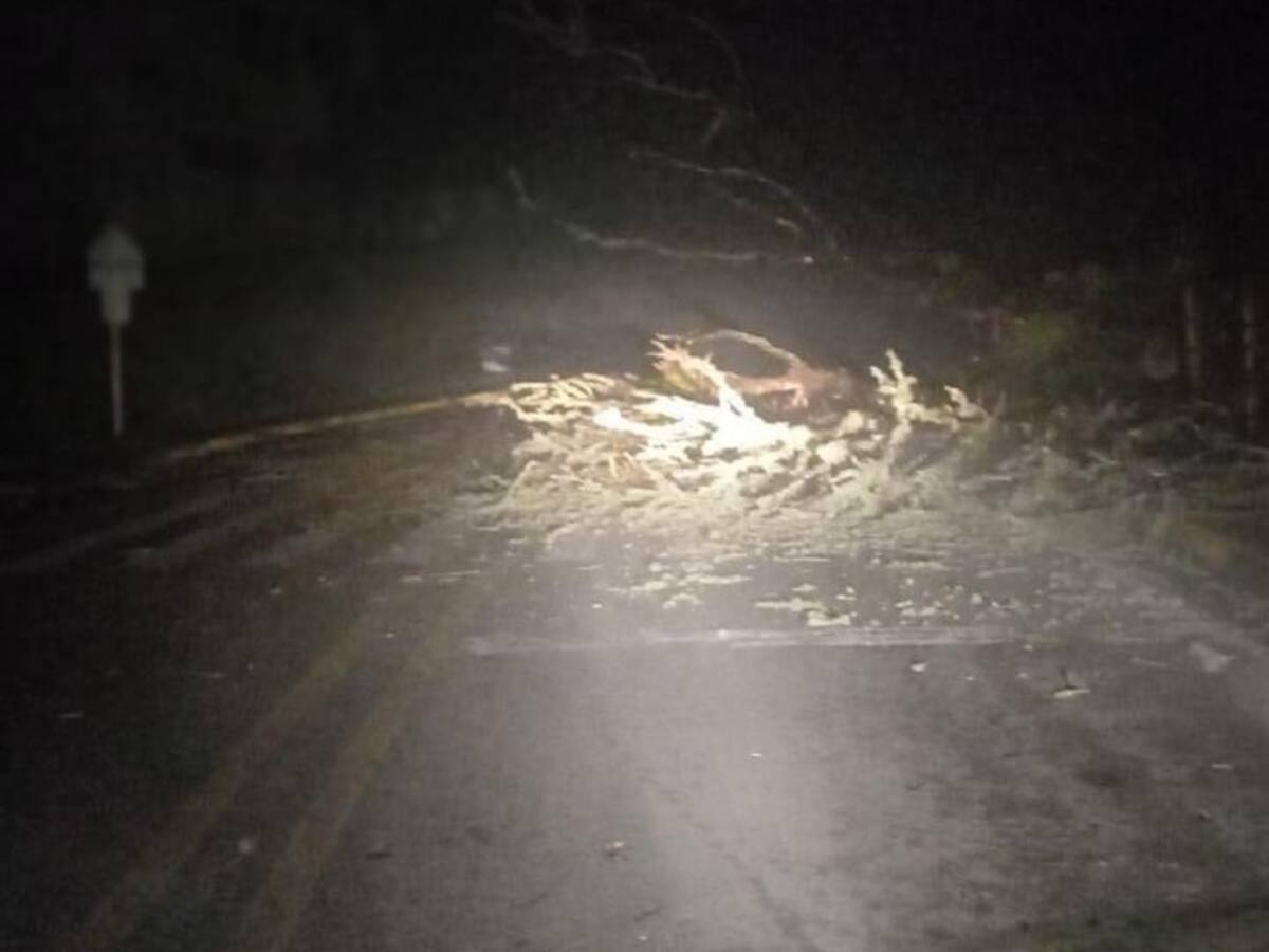 Lluvias provocaron deslizamientos y dejaron un herido y viviendas afectadas en Caldas