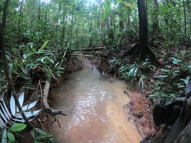 Selva de Guaviare donde se busca a las comunidades indígenas - Foto: Fuerza Pública