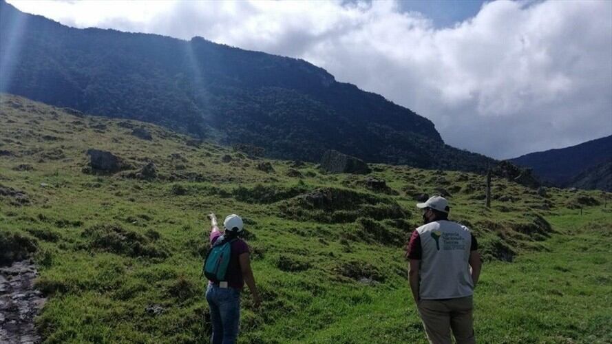 Imagen de referencia. Foto: Colprensa.