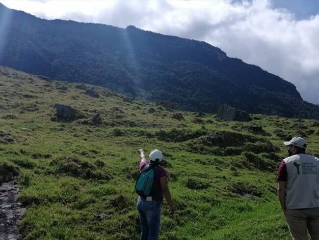 Imagen de referencia. Foto: Colprensa.