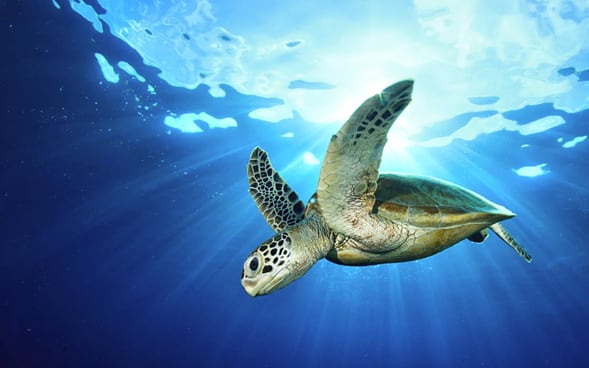 Cortesía: PROCOLOMBIA