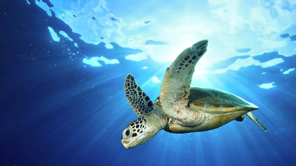 Colombia brilla en Cannes Lions 2025 con ProColombia: creatividad, sostenibilidad y belleza