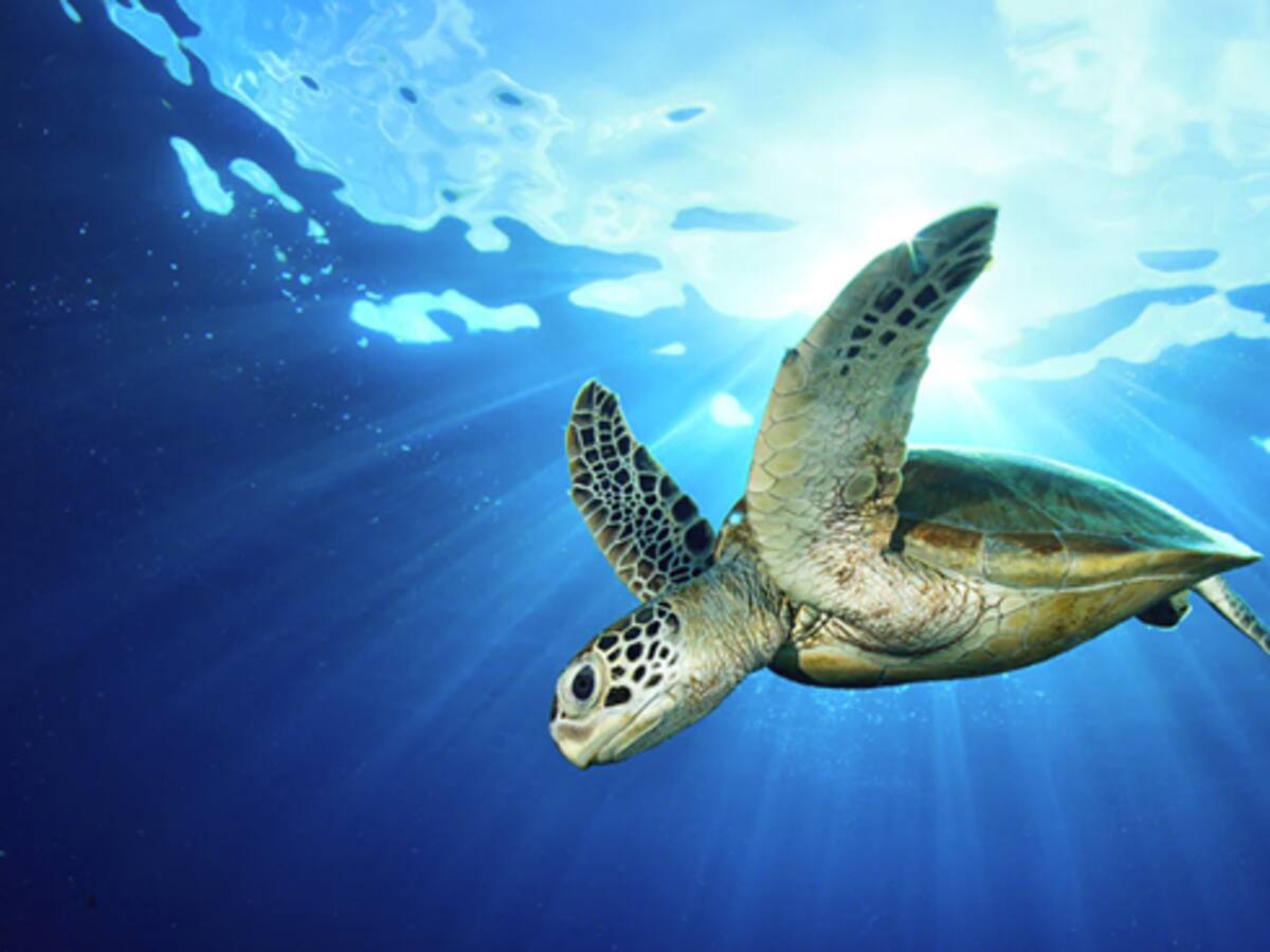 Colombia brilla en Cannes Lions 2025 con ProColombia: creatividad, sostenibilidad y belleza