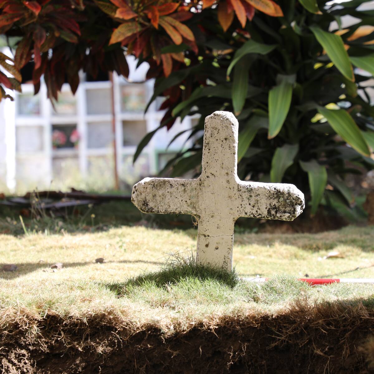 JEP protege cementerio de Puerto Triunfo por posibles cuerpos de desaparecidos