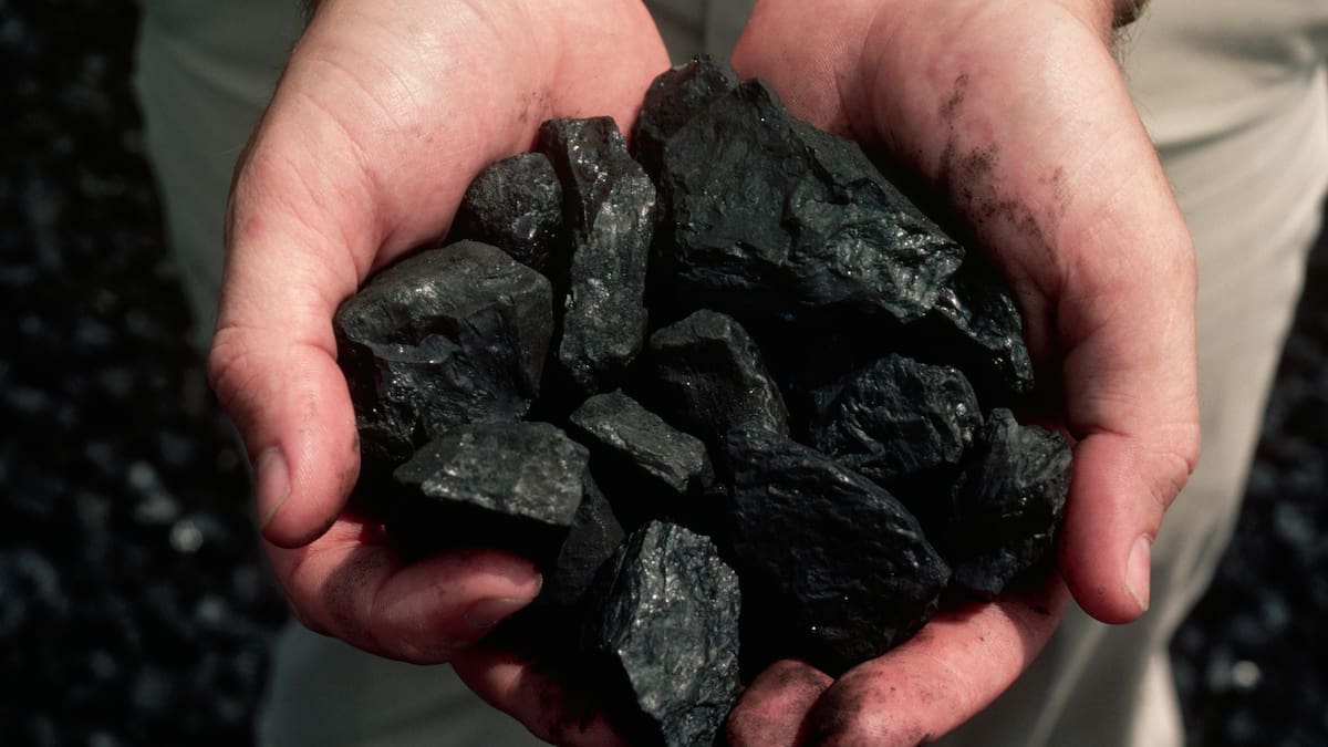 Prohibir las exportaciones de carbón a Israel causa inseguridad jurídica: Contraloría