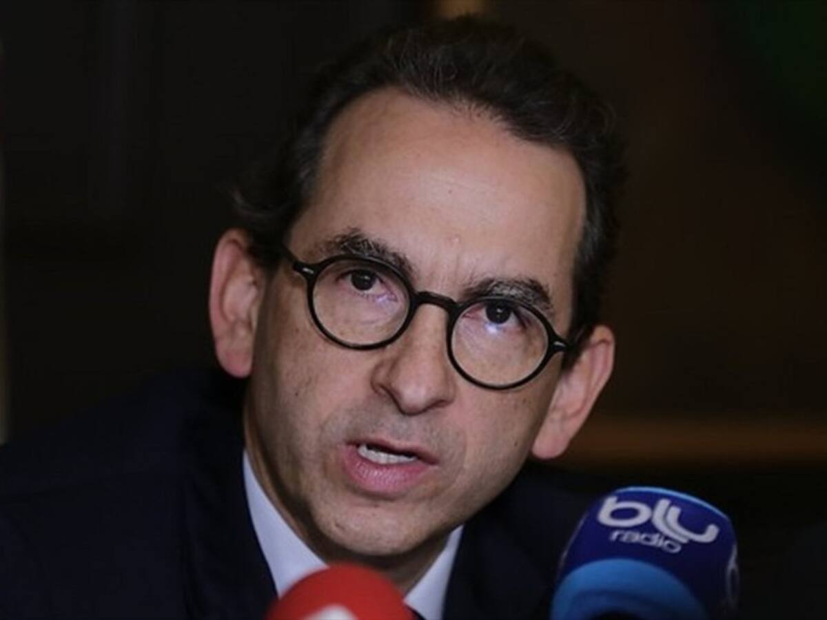 Minagricultura actualizó información sobre plantaciones forestales en el país