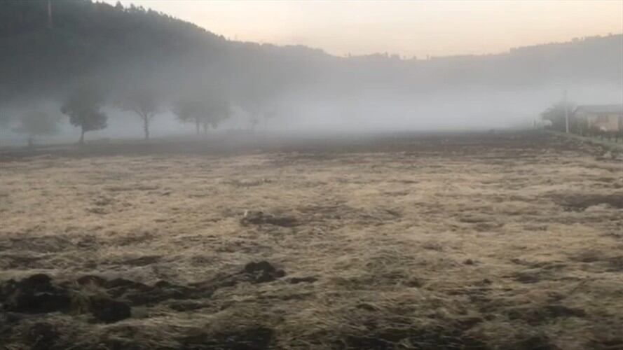 Más del 75% de afectación de pastos y el otro 25% en hortalizas y papa.. Foto: La W
