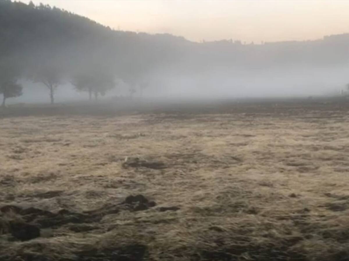 Son 3.000 los campesinos afectados por las heladas en 17 municipios de Boyacá