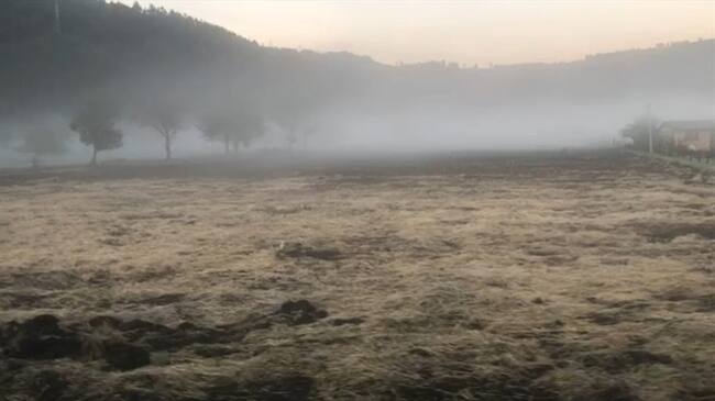 Más del 75% de afectación de pastos y el otro 25% en hortalizas y papa.. Foto: La W