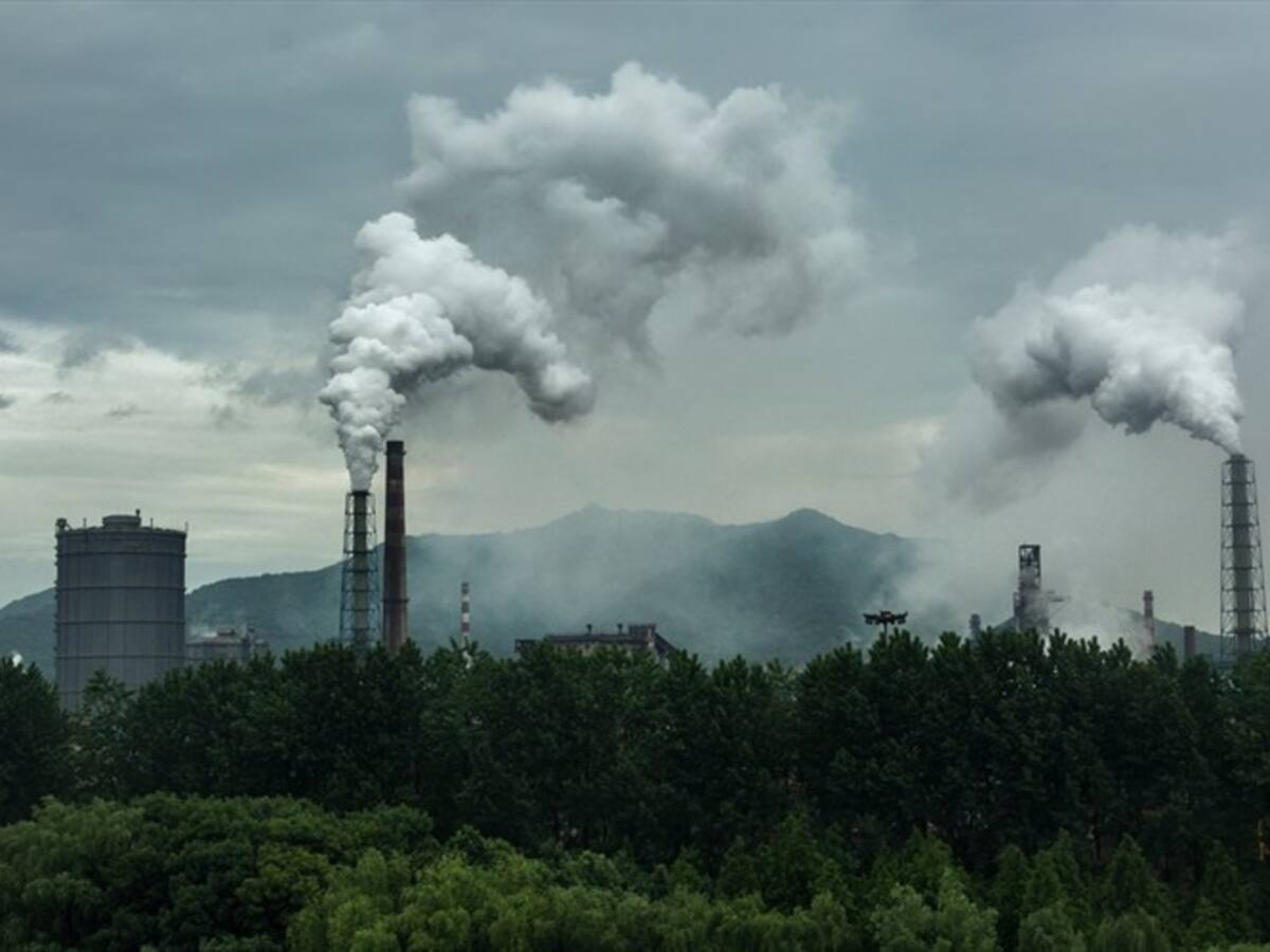 ¿Dónde está el recaudo del impuesto al carbono para el medio ambiente?