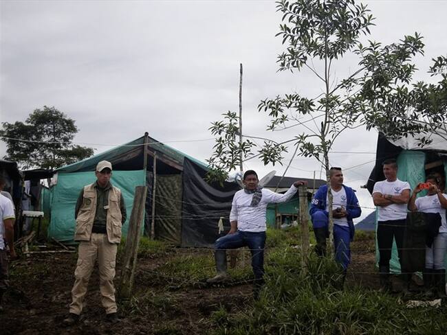 Zonas de concentración . Foto:Colprensa