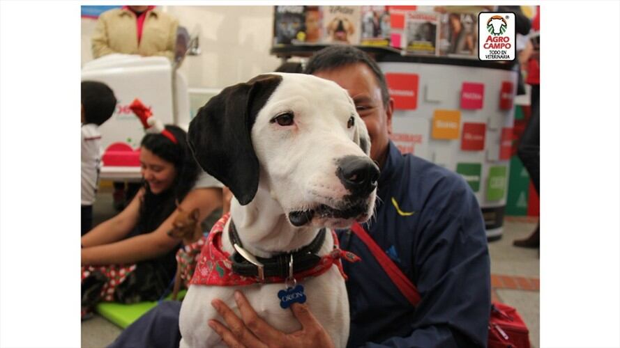 Agrovacaciones con Agrocampo. Foto: Agrocampo