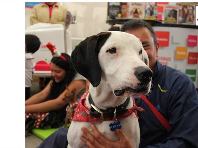 Agrovacaciones con Agrocampo. Foto: Agrocampo