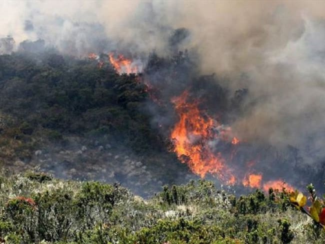 Incendios forestales . Foto:suministrada.