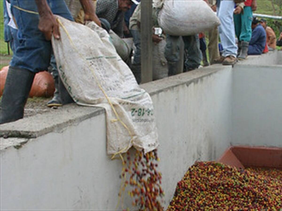Cafeteros agradecen ayudas del Gobierno y piden seguir buscando alternativas
