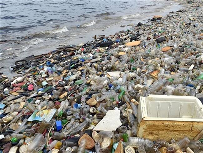 El plástico está poniendo en peligro la vida en los océanos: Vicky Cann