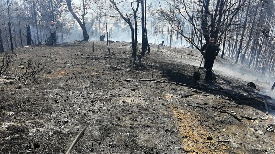 Uno de los incendios por poco afecta un colegio en Pesca, donde los organismos de emergencia y la comunidad debieron evacuar todos los estudiantes.. Foto: Foto: Suministrada