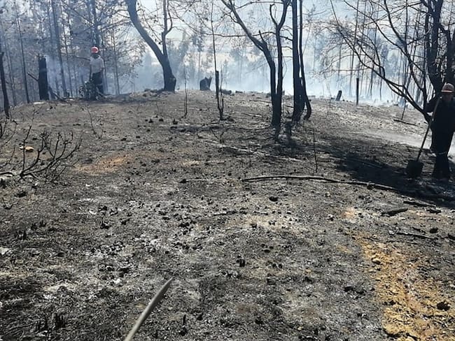 Uno de los incendios por poco afecta un colegio en Pesca, donde los organismos de emergencia y la comunidad debieron evacuar todos los estudiantes.. Foto: Foto: Suministrada