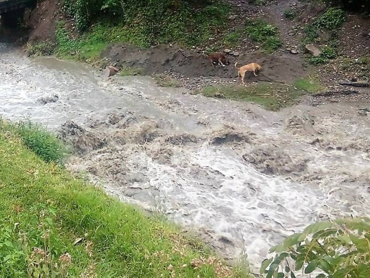 Encuentran el cadáver de un hombre flotando en el río Pancitará de La Vega, Cauca