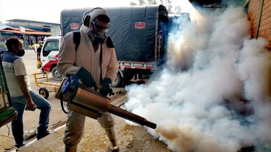 Central de Abastos de Cúcuta confirma casos positivos de COVID-19. Foto: Cortesía