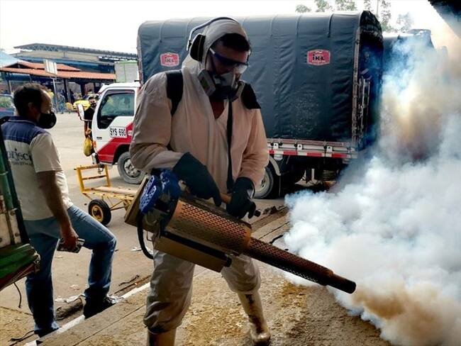 Central de Abastos de Cúcuta confirma casos positivos de COVID-19. Foto: Cortesía