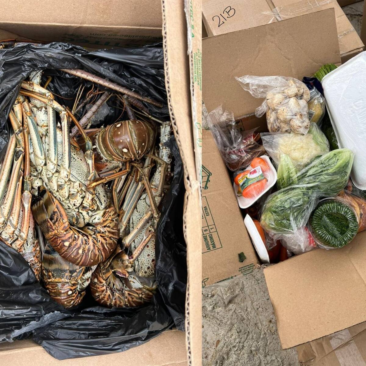 El lujoso mercado ‘gourmet’ que iba a ingresar a la cárcel La Picota