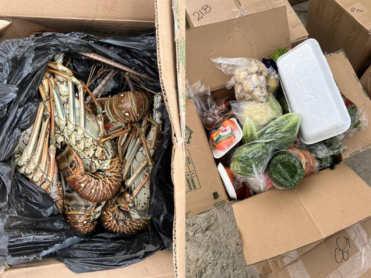 El lujoso mercado ‘gourmet’ que iba a ingresar a la cárcel La Picota