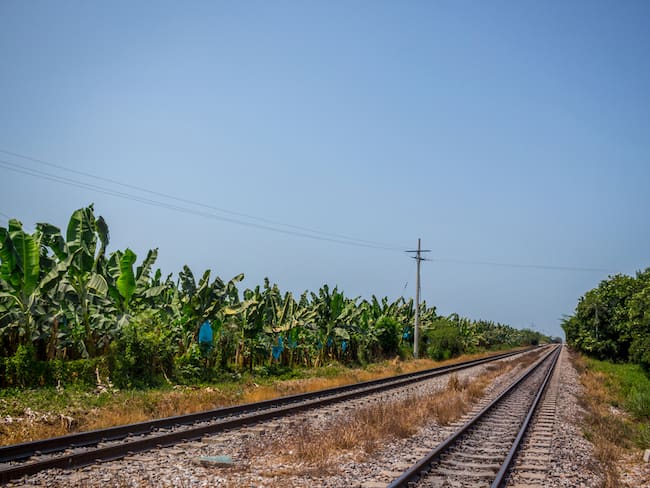 Zona Bananera . Asbama