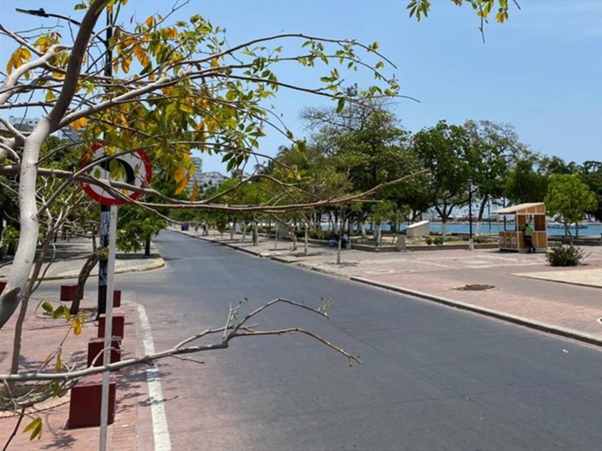 Mininterior estudia Toque de queda y Ley seca para este fin de semana en el Magdalena