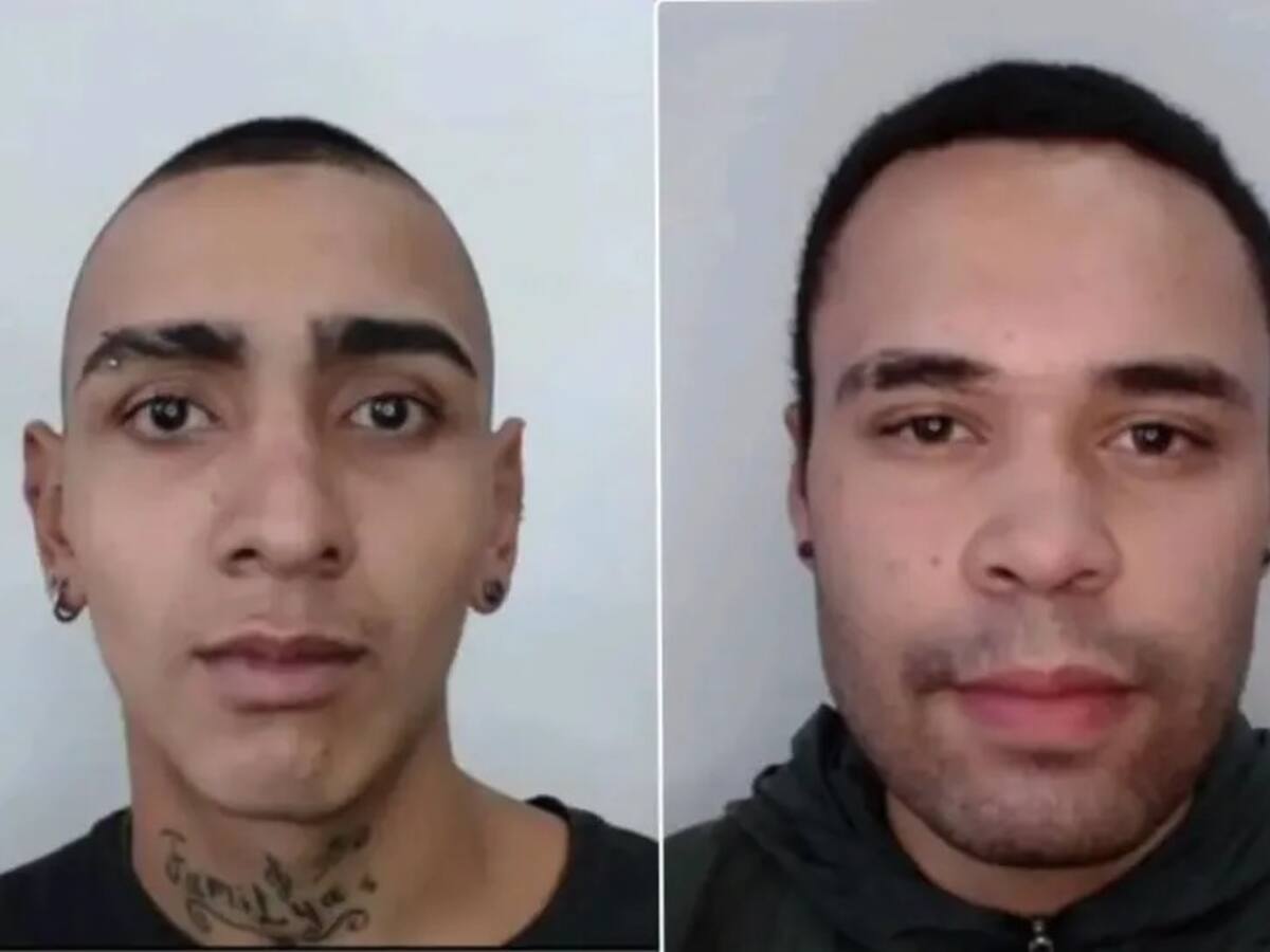 Identificaron los cuerpos de los jóvenes a los que hallaron desmembrados en Pereira