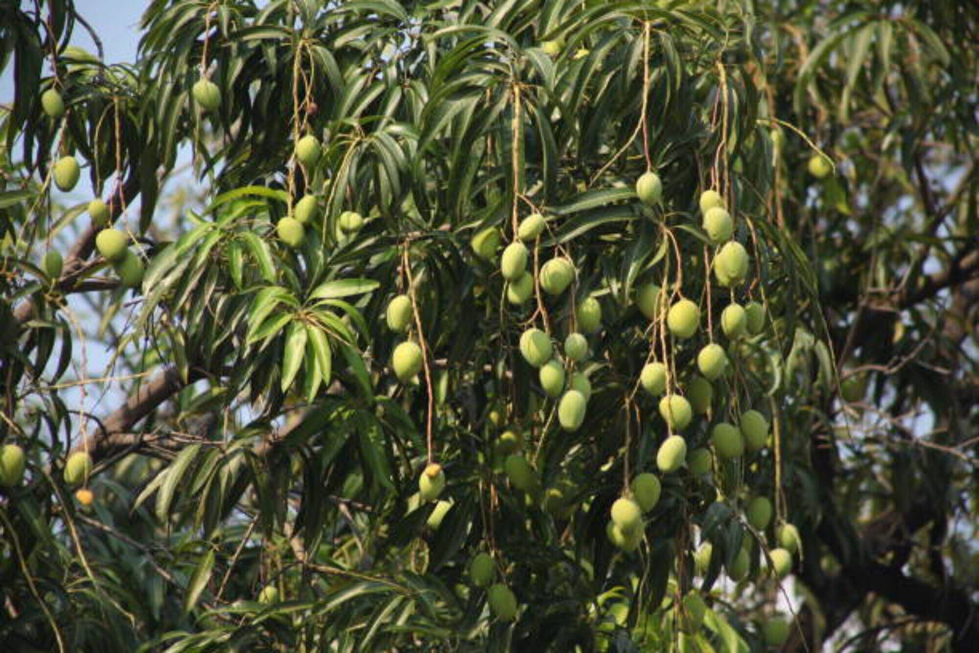 Imagen de referencia/ Getty Images 