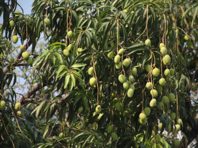 Imagen de referencia/ Getty Images