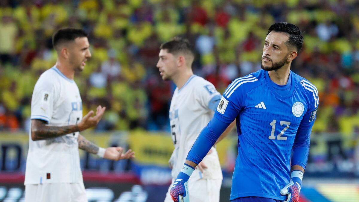 Camilo Vargas sale de la convocatoria de la Selección Colombia: ¿quién lo reemplazará?