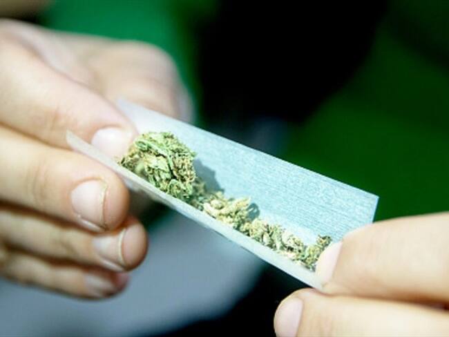 En Canadá buscan catadores de marihuana, ¿lo haría?