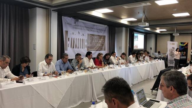 Hay financiación para estudios de los viaductos en la doble calzada Ciénaga-Barranquilla. Foto: Ian Farouk Simmonds