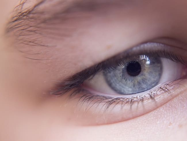 Investigadores desarrollan software para la prevención de la ceguera por diabetes