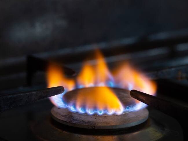 Imagen de referencia.