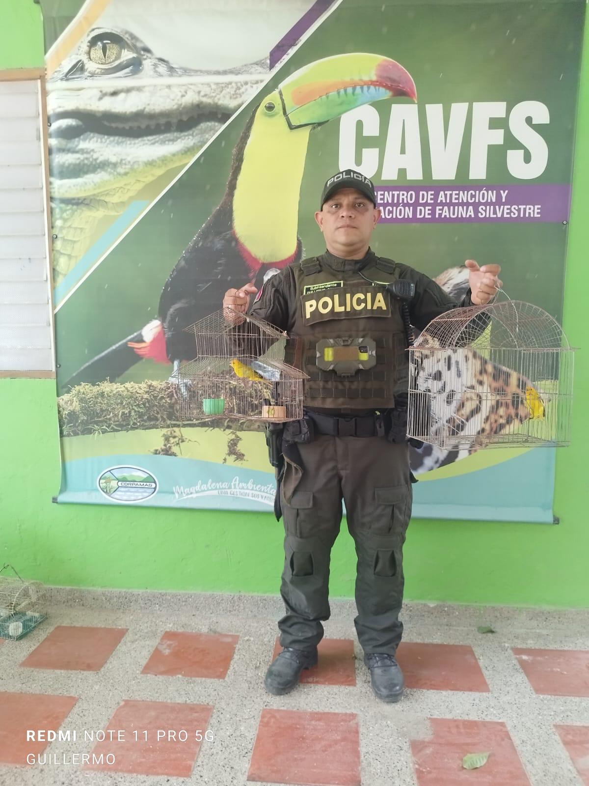 Animales recuperados/ Policía Metropolitana de Santa Marta 
