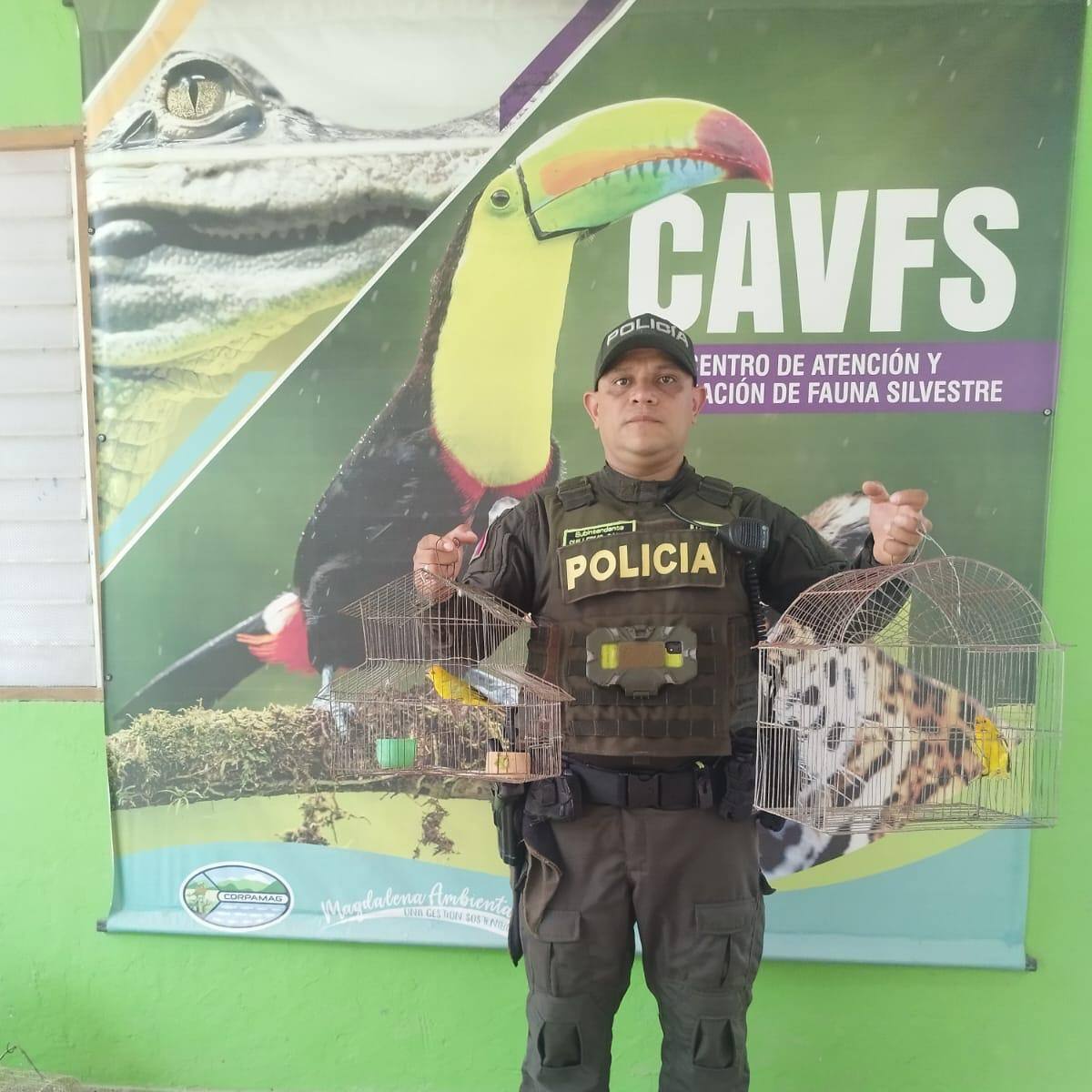Recuperadas ocho especies de fauna silvestre valoradas en más de 52 millones de pesos en Santa Marta