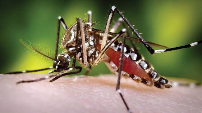 Cali es el municipio más afectado con 2160 casos de dengue. Foto: Colprensa