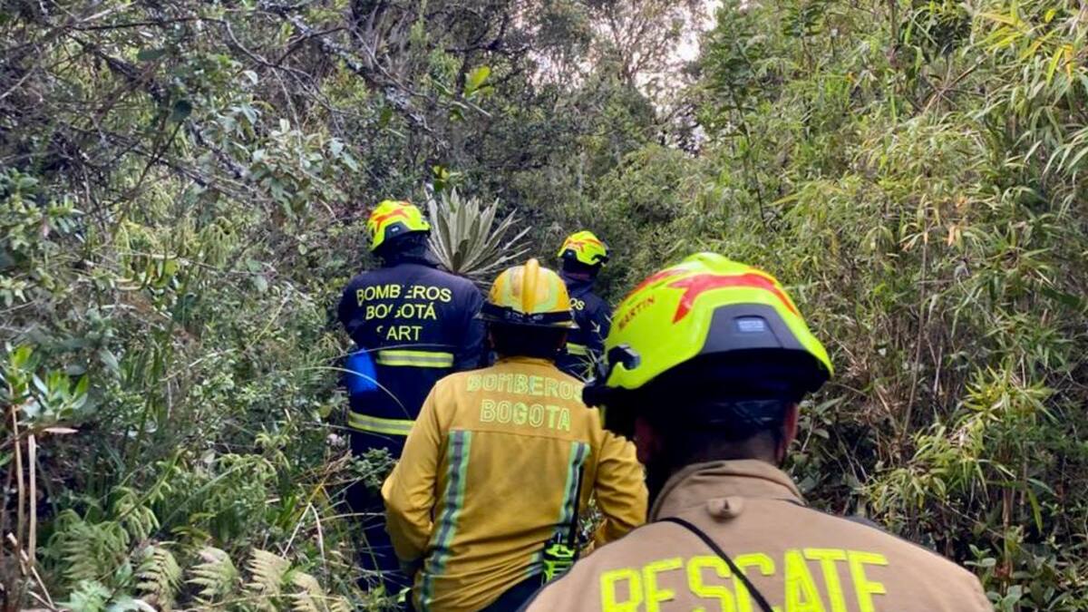 Encontraron a ciudadano americano perdido en el Cerro de Guadalupe en Bogotá