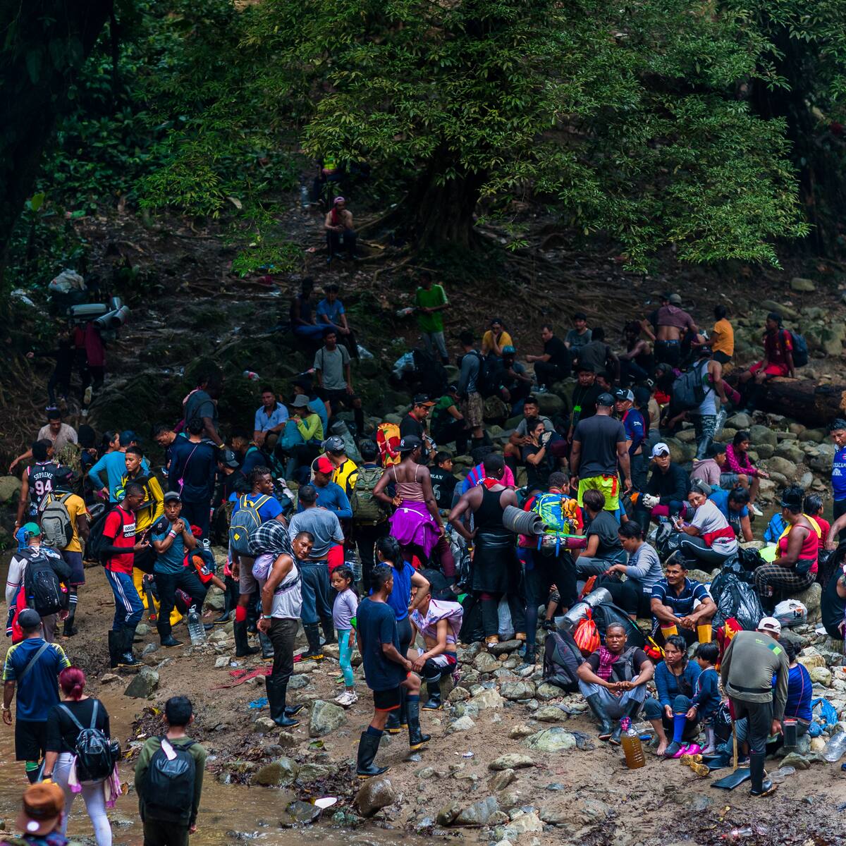 Disminuyó el número de migrantes irregulares que cruza el Darién