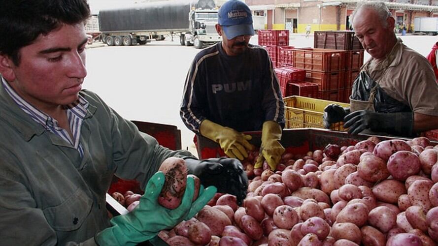 Imagen de referencia. Foto: Colprensa