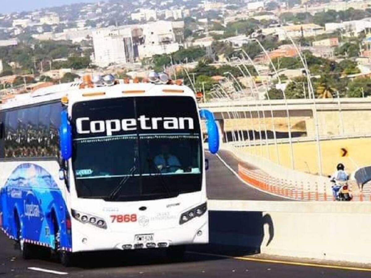 “Hubo un proceso inadecuado de nuestros funcionarios”: Copetran por muerte de perrito ‘Maxi’