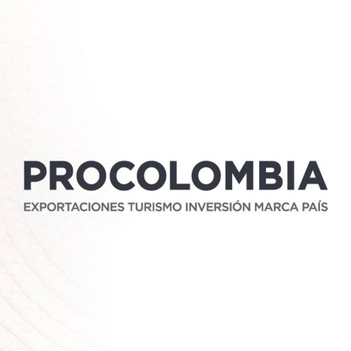 Carmen Cecilia Caballero es la nueva presidenta de ProColombia